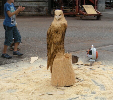 2013312 Salatheo+Schaffner Tag der offenen Tür DSCN8993